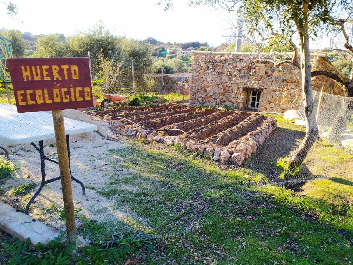 Casa Rural Bellavista Ronda Buitenkant foto