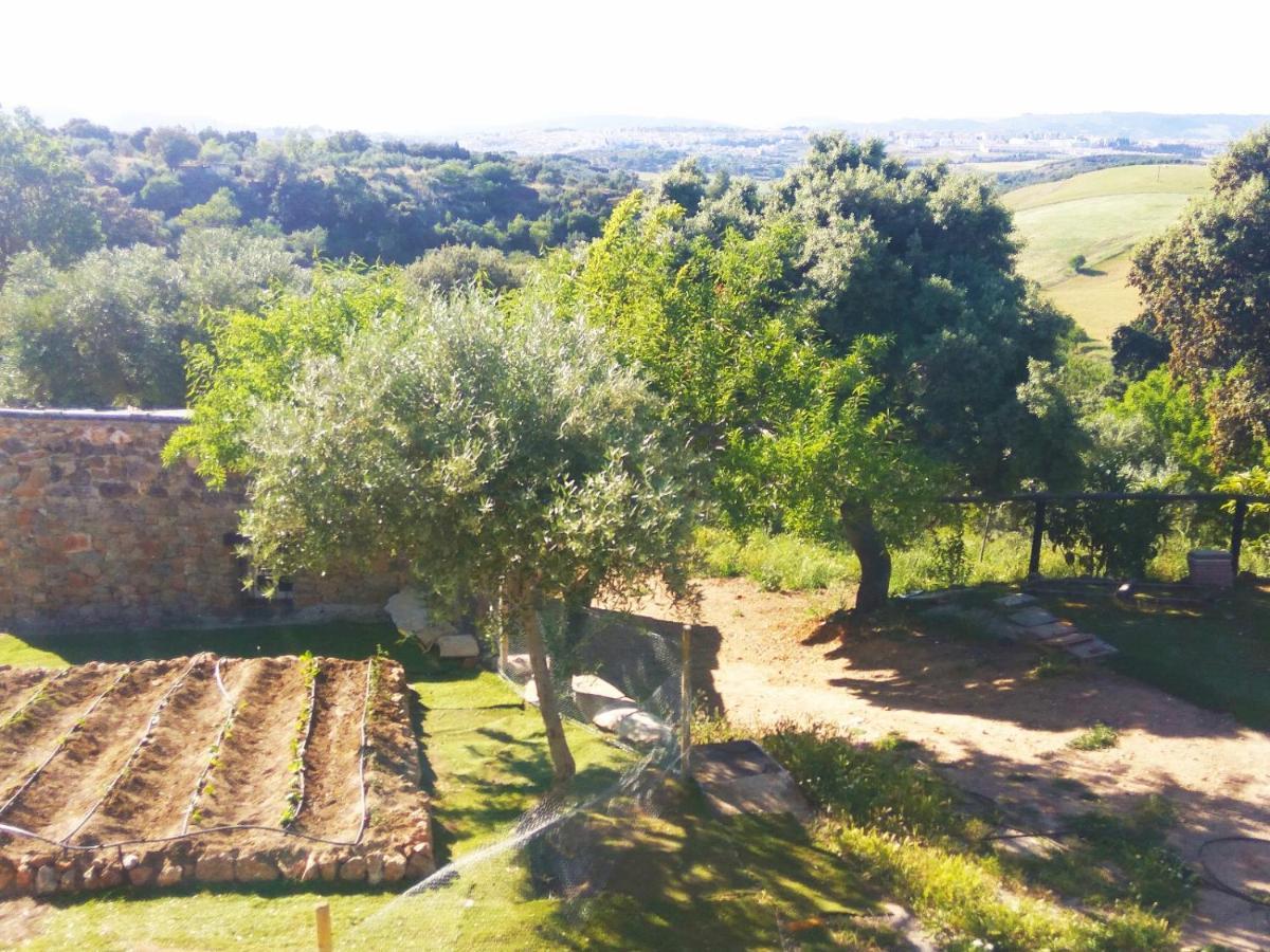 Casa Rural Bellavista Ronda Buitenkant foto