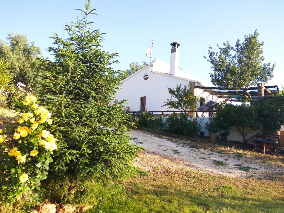 Casa Rural Bellavista Ronda Buitenkant foto